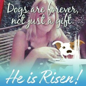 Meet your Posher, Kristi